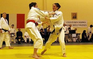 CN2012-001.jpg