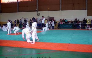 Maule2012-001.jpg
