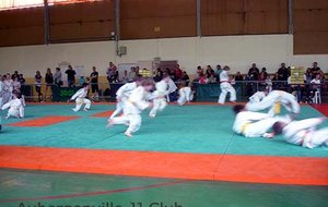 Maule2012-002.jpg