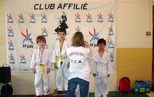 Maule2012-003.jpg