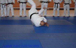 IMG_6934.JPG