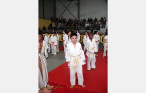 51a1cdd5cbb6b_Limay2013003.jpg