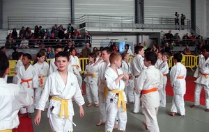 51a1cdd727ac8_Limay2013002.jpg