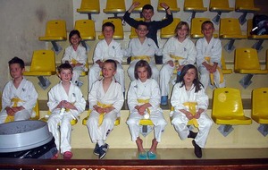 51a1cf8c4294e_EquipesPoussins2013001.jpg
