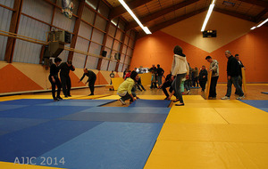 534161b41fbc8_AJJCCompet2014004.jpg