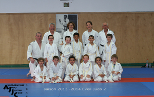 53b28aca15098_Judo1314Eveil2.JPG