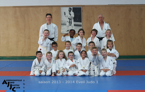 53b28add4adfc_Judo1314Eveil12.JPG