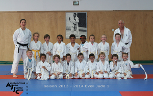 53b28aee2ccab_Judo1314Eveil11.JPG