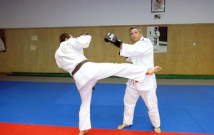 548c771058ddf_Jujitsu2014002.jpg