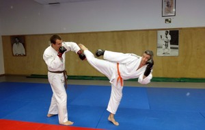 548c7714b172d_Jujitsu2014003.jpg