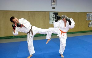 548c7719a246f_Jujitsu2014004.jpg