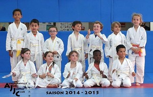 558bc5385c385_AJJC2015001.jpg