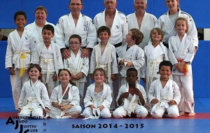 558bc538eb1ab_AJJC2015002.jpg
