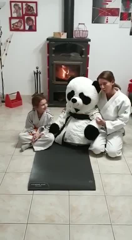 révisions judo